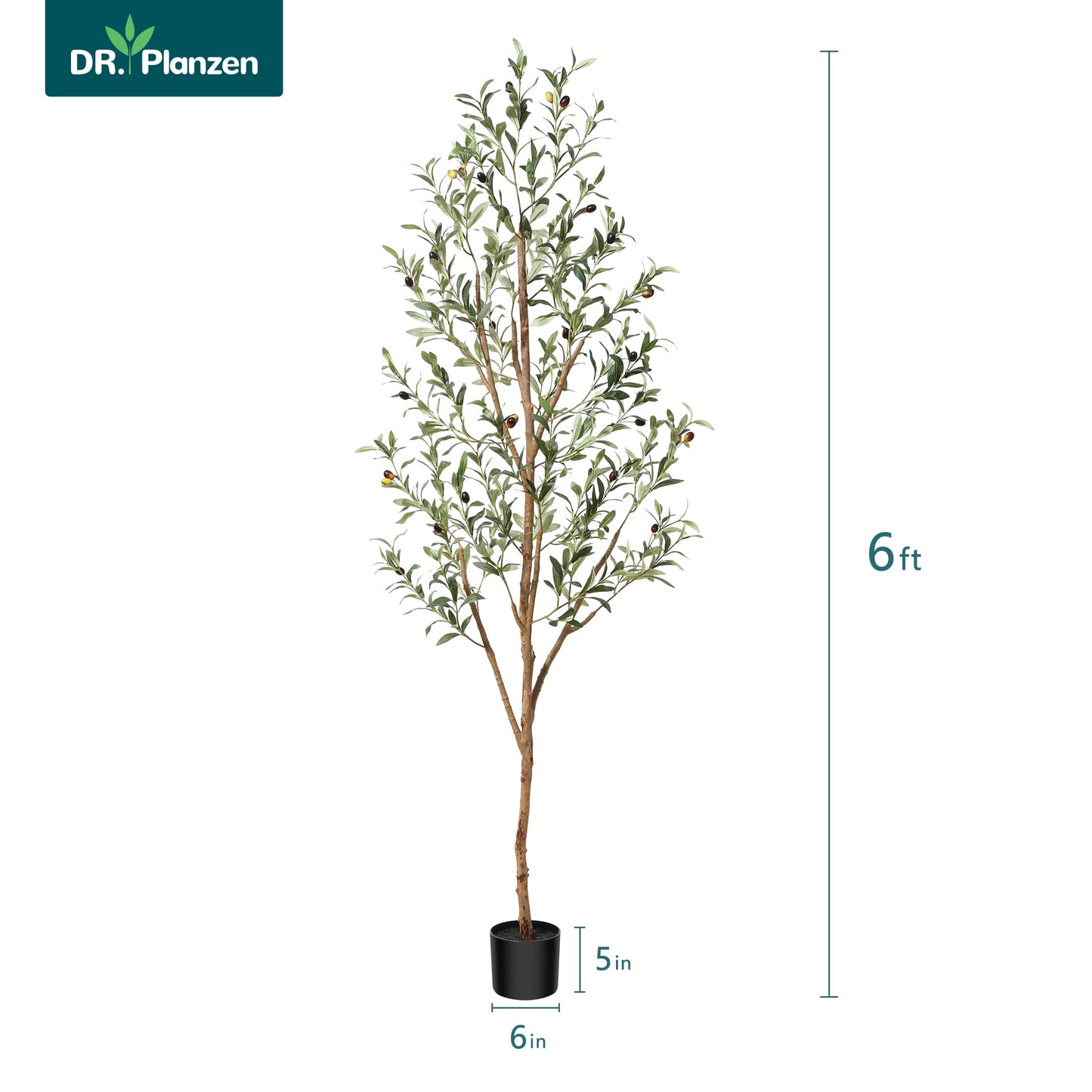 6 ft Artificial Olive Plants with Realistic Leaves and Natural Trunk, Silk Fake Olive Tree in Black Plastic Pot, Faux Olive Tree for Office Home
